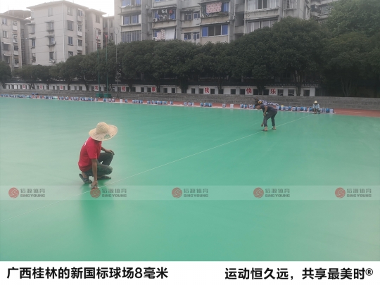 广西桂林新国标球场8毫米